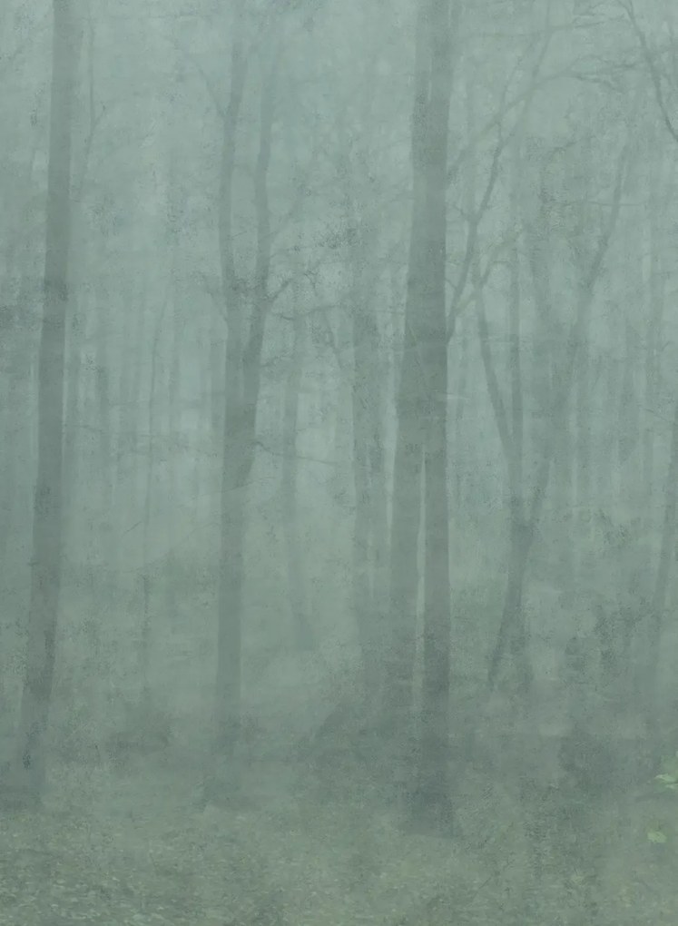 Sandberg Wandbild Skog - Forest Green