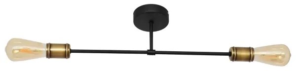 Lampadario a plafone CAMBRIDGE 2xE27/15W/230V nero/oro