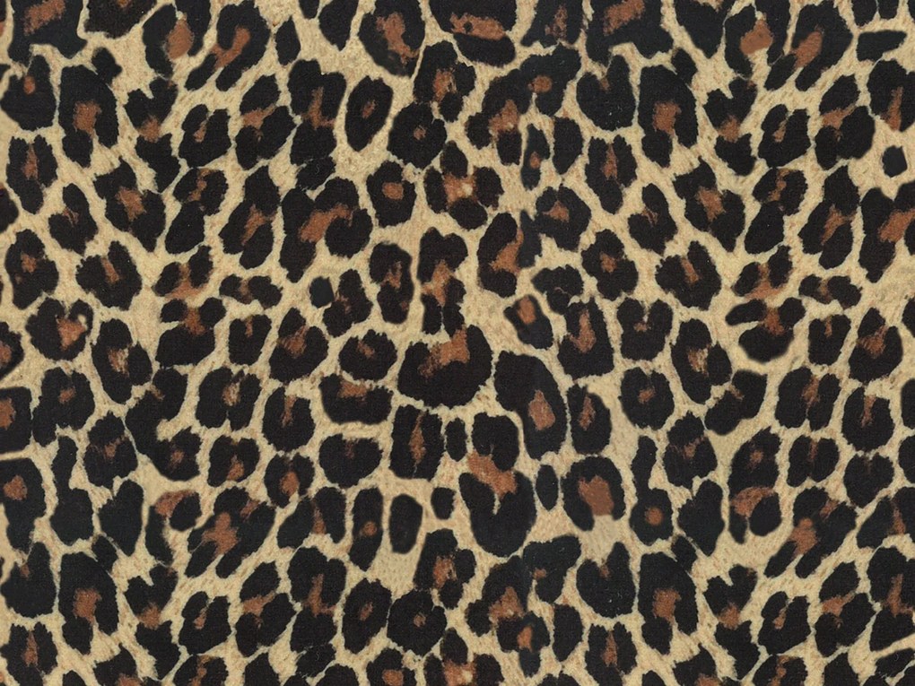 Wild cuscino in collezione Wild in microfibra impermeabile ghepardo