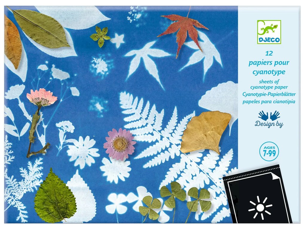 Cianotipia - set di carta fotosensibile
