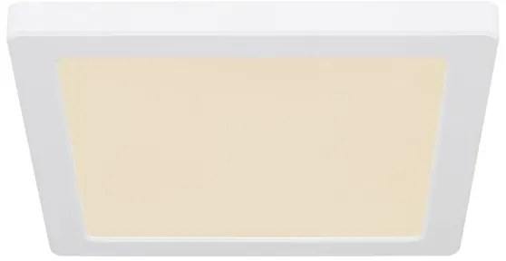 Globo 12380-18W - Plafoniera LED LASSE LED/18W/230V 3000/4000/6500K bianco