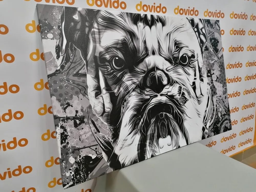 Stampa su tela – Bulldog in bianco e nero