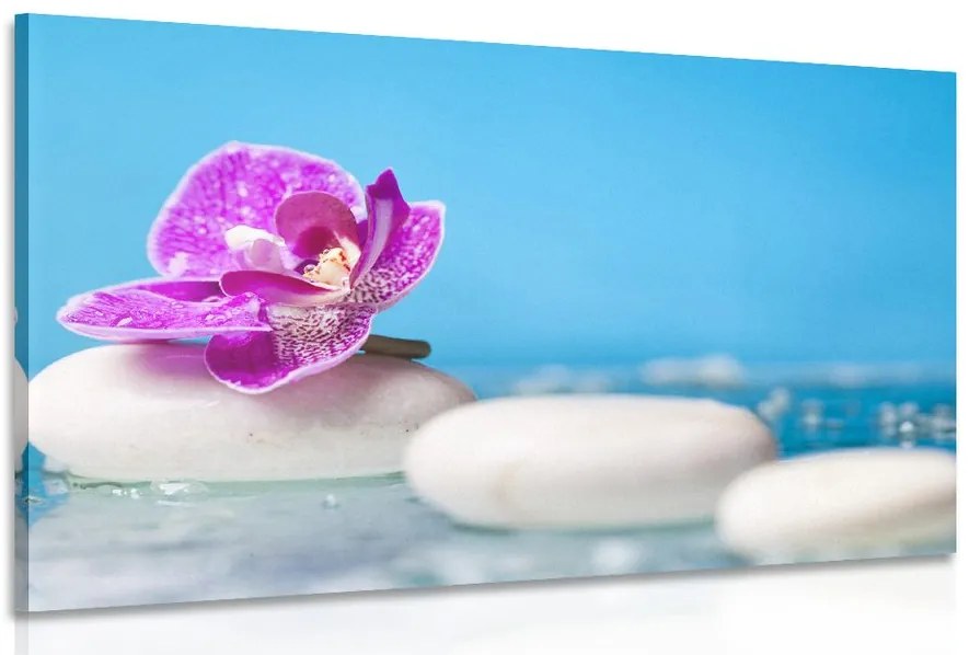 Quadro su tela – Orchidea e pietre Zen