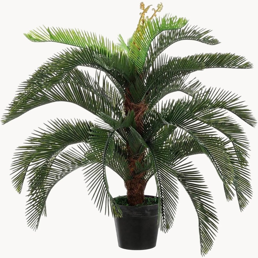 Pianta artificiale da esterno Palma Cycas, alt. 100 cm