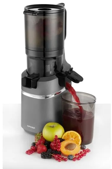 Concept LO7120 - Spremiagrumi lento JUICY 250W/230V grigio