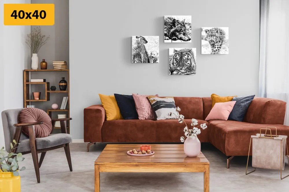 Set di quadri – Animali in versione acquerello in bianco e nero