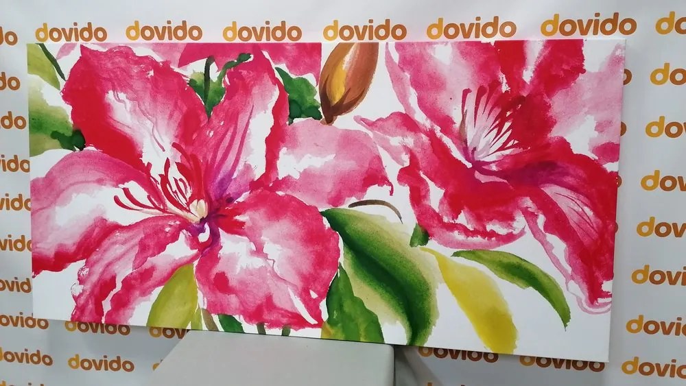 Quadro su tela – Fiori meravigliosi