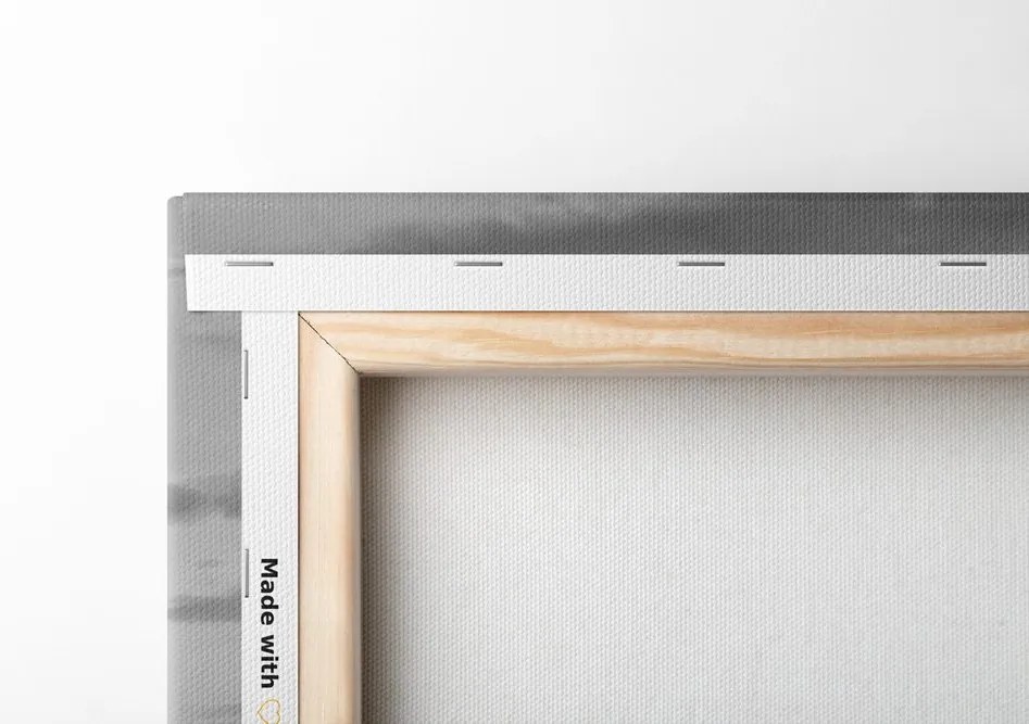 Quadro su tela – Branco di cavalli in bianco e nero