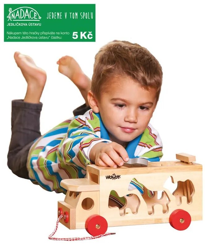 Camion con forme inseribili - animali