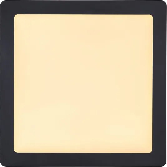 Globo 12374-24 - Plafoniera LED DINO LED/22W/230V