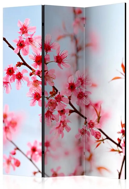 Paravento  Symbol of Japan  sakura flowers [Room Dividers]  Colore ---, Dimensioni e Misure 135x172