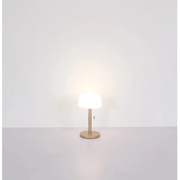 Globo 21016CH - Lampada da tavolo LED NORMAN LED/1,5W/3,7V 3000/4200/6000K marrone