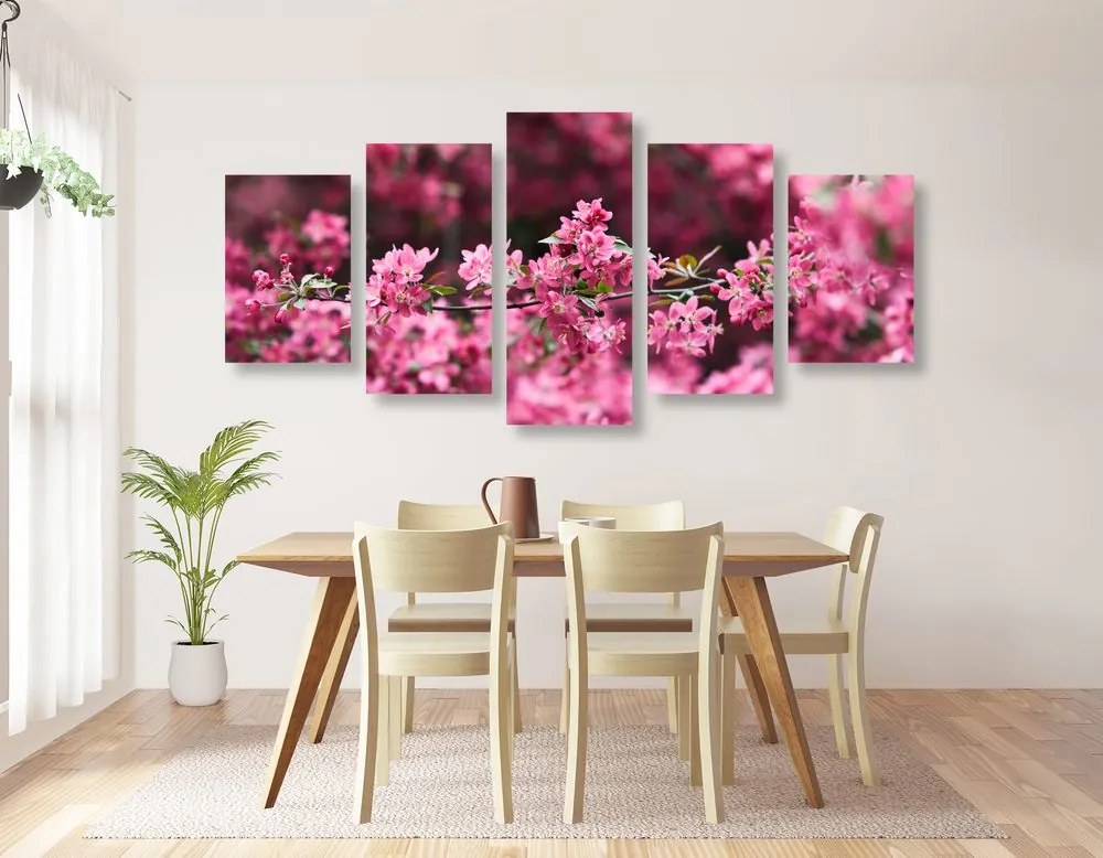 Quadri 5 pezzi – Fiore di ciliegio dettagliato