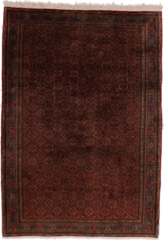 Bidjar Tappeto 300x210 (Iran) Annodato A Mano