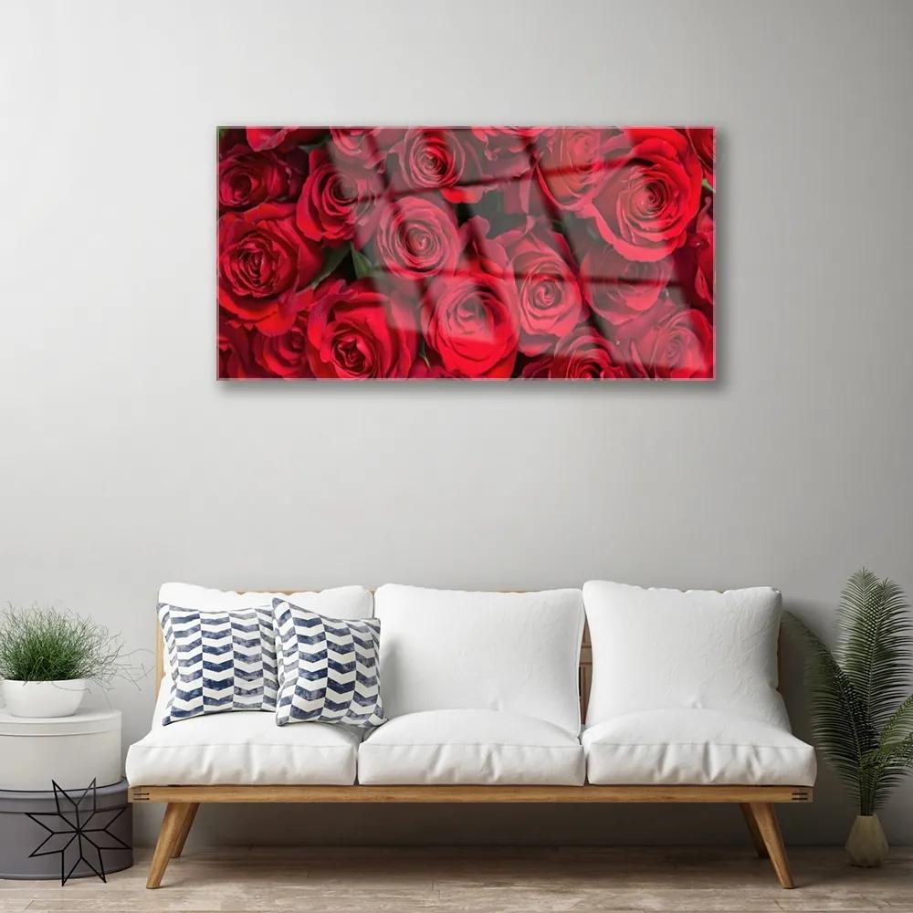 Quadro su vetro acrilico Fiori della natura delle rose rosse 100x50 cm