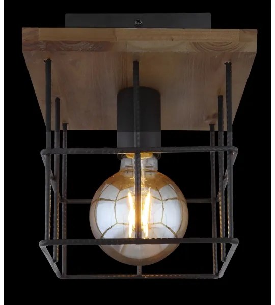 Globo 15530-1D - Plafoniera MERRIL 1xE27/60W/230V