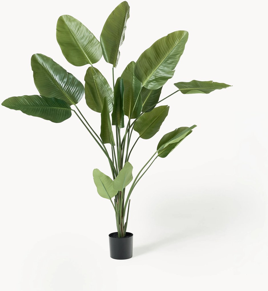 Pianta artificiale Traveller Palm
