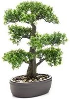 Emerald Ficus Artificiale Mini Bonsai con Vaso Marrone 43 cm