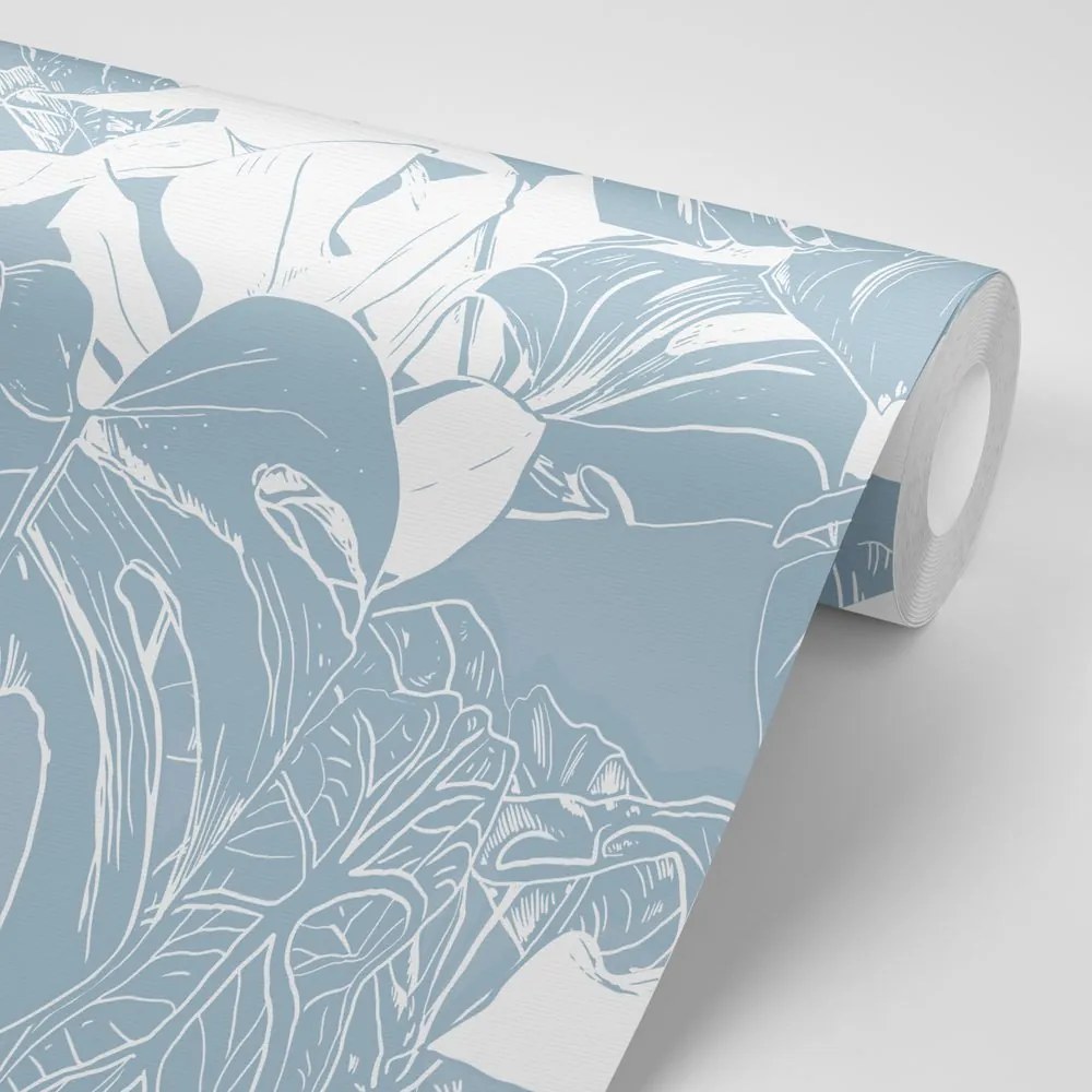 Carta da parati – Monstera delicata