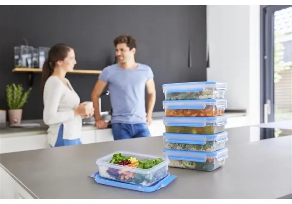 Tefal - SET 6x Contenitore per alimenti 0,8 l MASTER SEAL FRESH blu