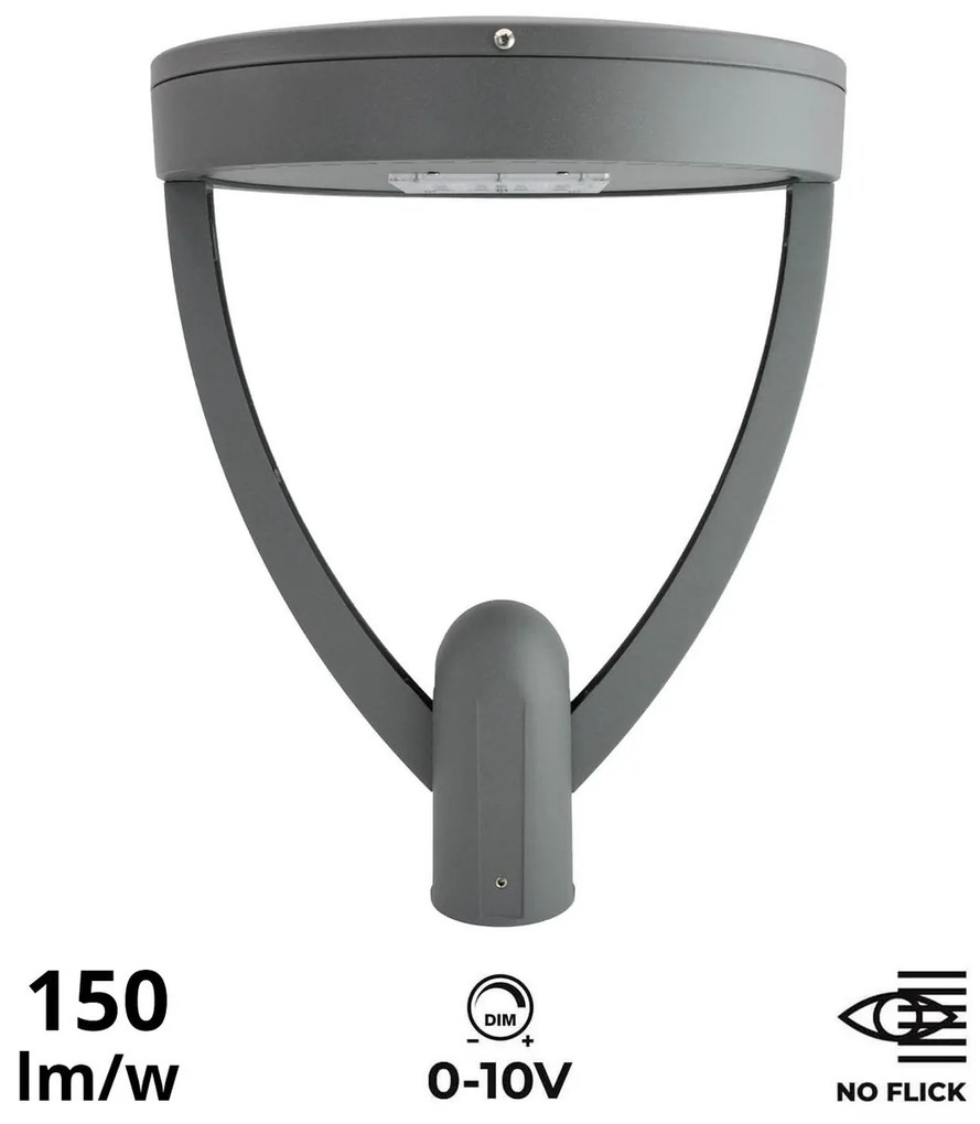 Lampione Stradale 65W Dual Gray1-10V Programmabiledriver Philips Colore Bianco Caldo 2.700K