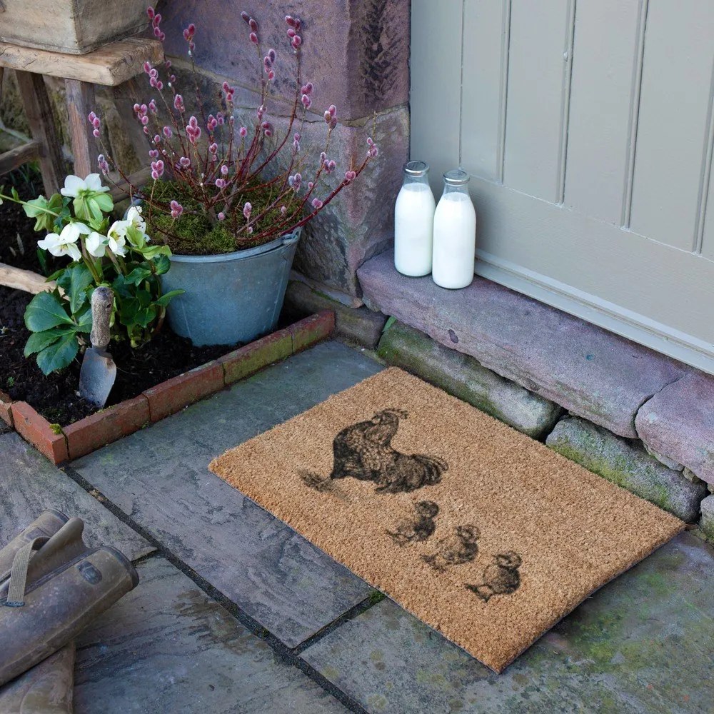 Zerbino in fibre di cocco 40x60 cm Chickens and Chicks – Artsy Doormats