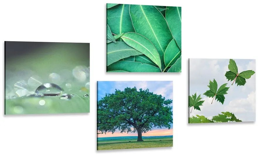 Set di quadri – Natura piena di verde