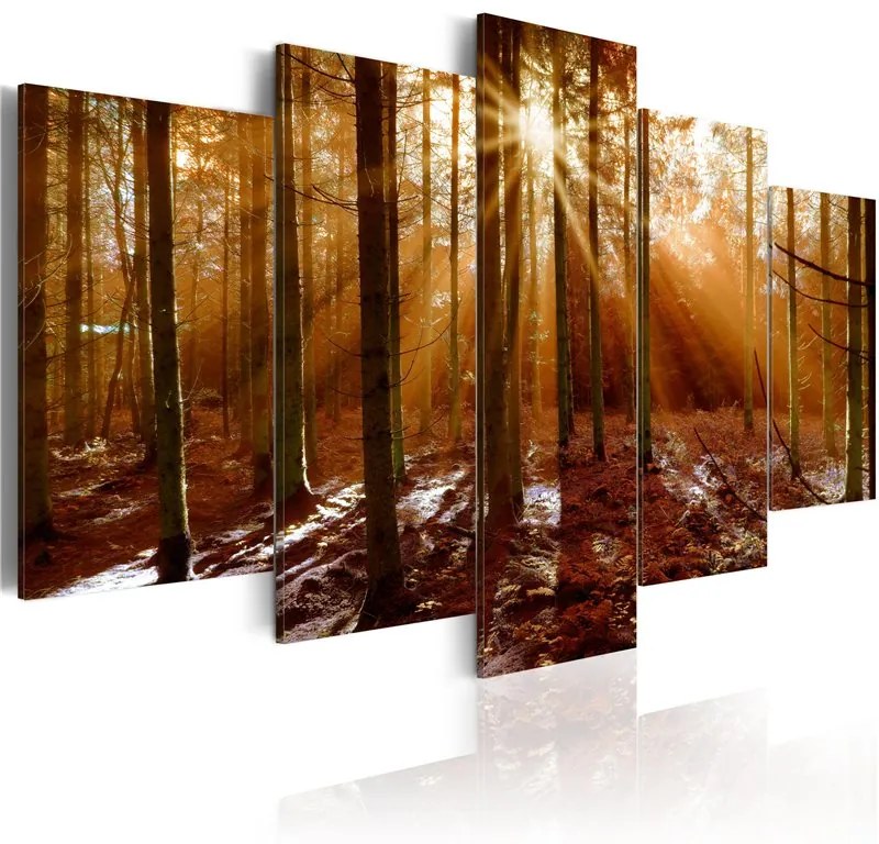 Quadro Kiss of Autumn  Colore Marrone, Dimensioni e Misure 200x100