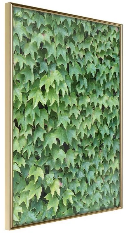 Poster  Hidden  Cornice Quadri Cornice d'oro, Larghezza x Altezza Home decor 40x60