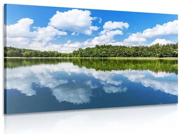 Stampa su tela – Natura in estate