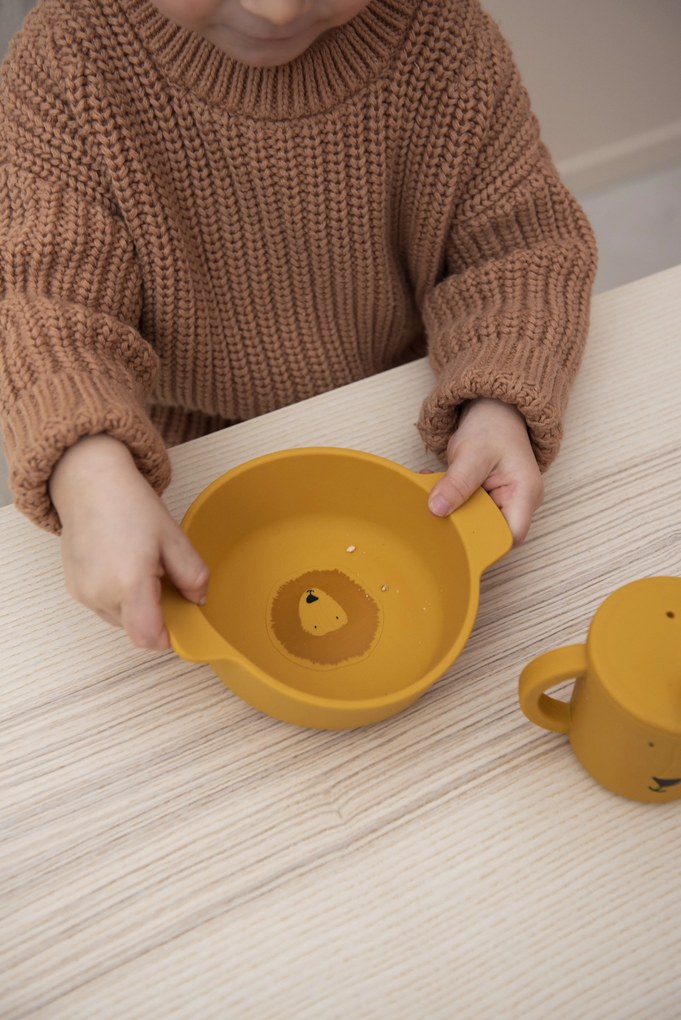 Ciotola in silicone Mr. Lion
