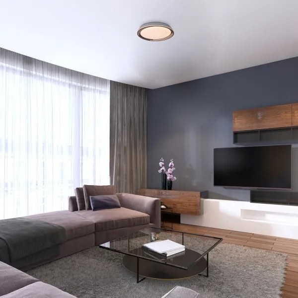 Rabalux - Plafoniera LED dimmerabile/36W/230V