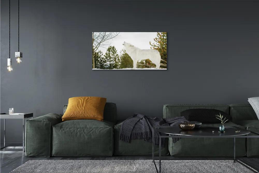 Foto quadro su tela Foresta invernale invernale 100x50 cm