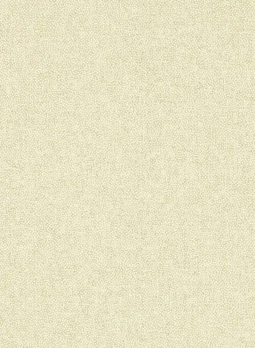 Sanderson Tapete Sessile Plain - Birch/ Multi