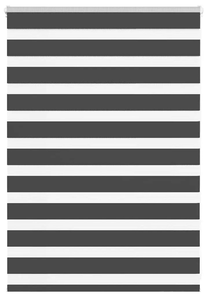 Tenda A Rullo Zebra Nero Larghezza Tessuto 95,9 Cm Poliestere /
