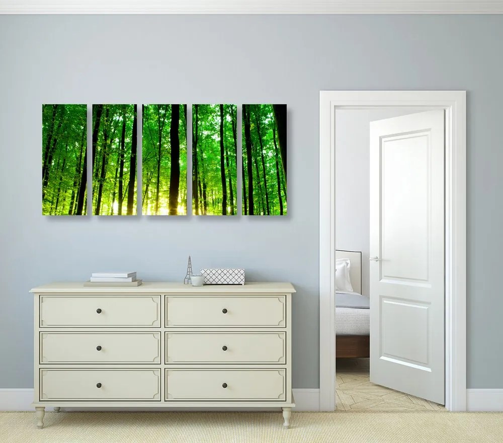 Quadri 5 pezzi – Foresta verde rigogliosa
