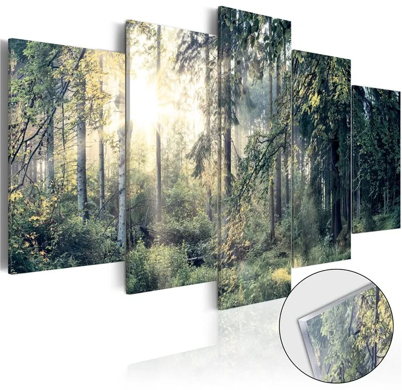 Quadri su vetro acrilico  Fairytale Landscape [Glass]  Colore Grigio, Dimensioni e Misure 100x50