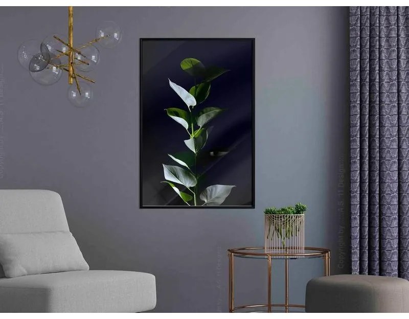 Poster Floral Elegance