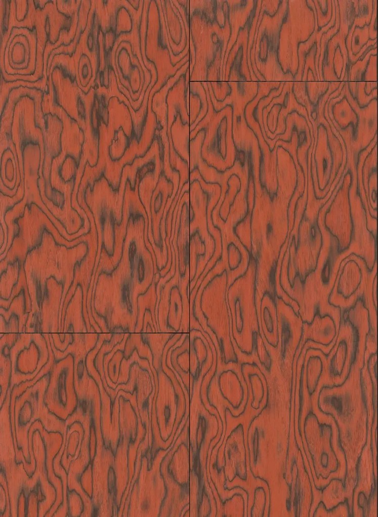 Arte Carta da parati Coti - Fire Orange