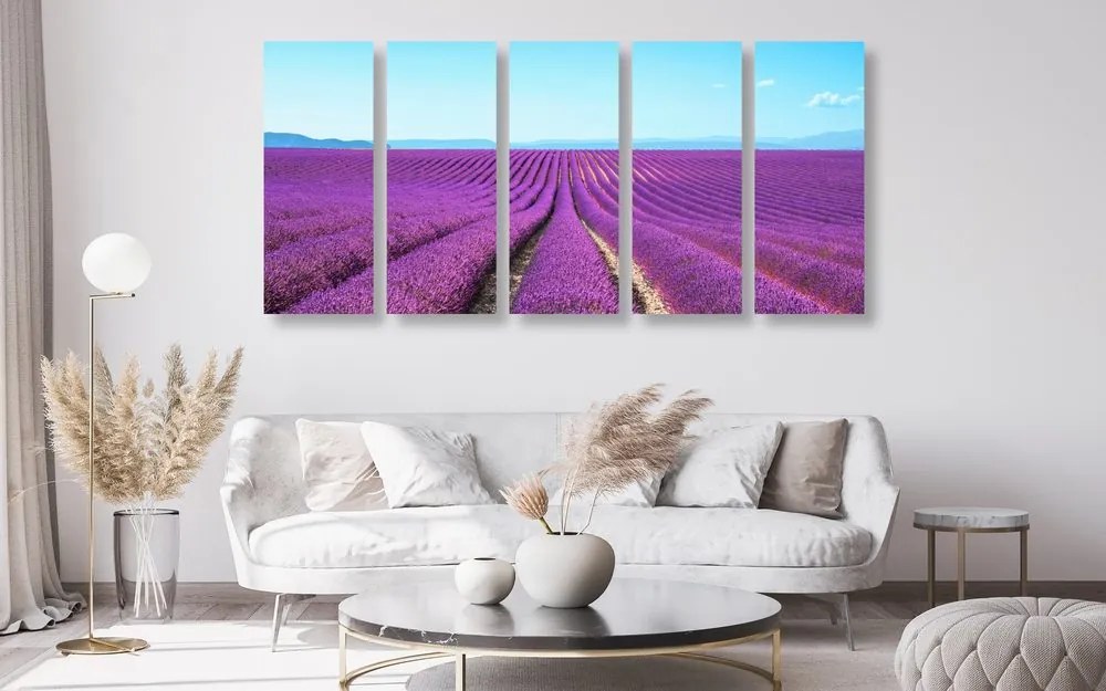 Quadri 5 pezzi – Campo di lavanda infinito