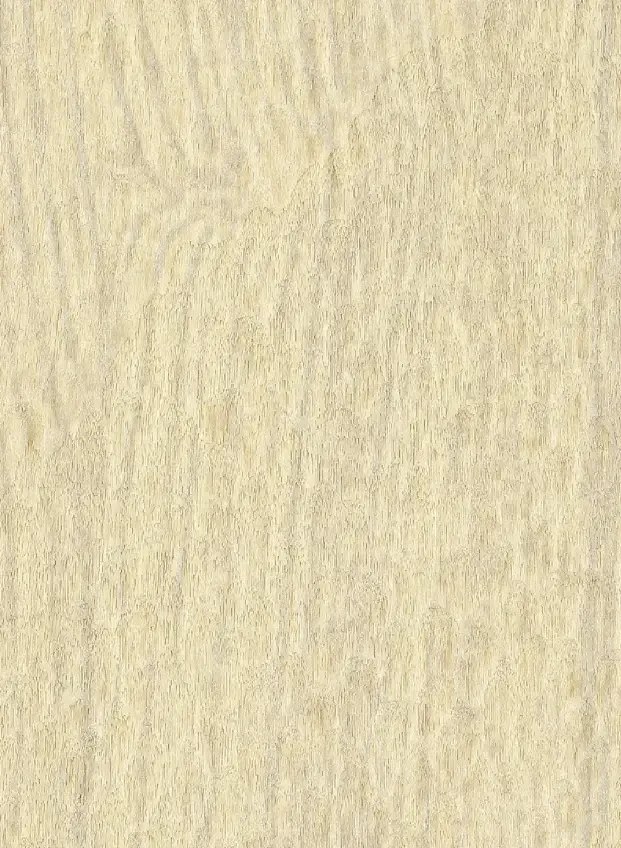 Elitis Tapete Gouge - VP 936 01