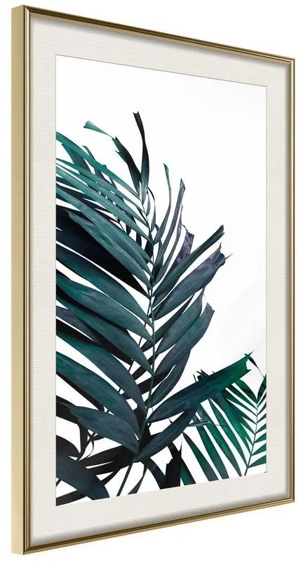 Poster Evergreen Palm Leaves  Cornice Quadri Cornice d'oro con passe-partout, Larghezza x Altezza Home decor 30x45