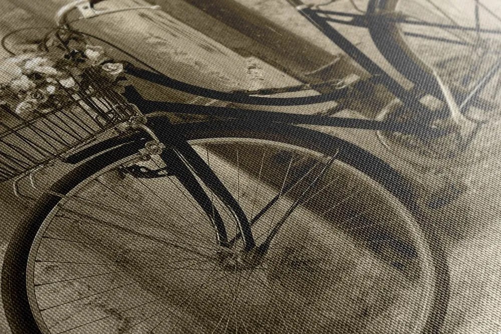 Stampa su tela – Bicicletta rustica in seppia