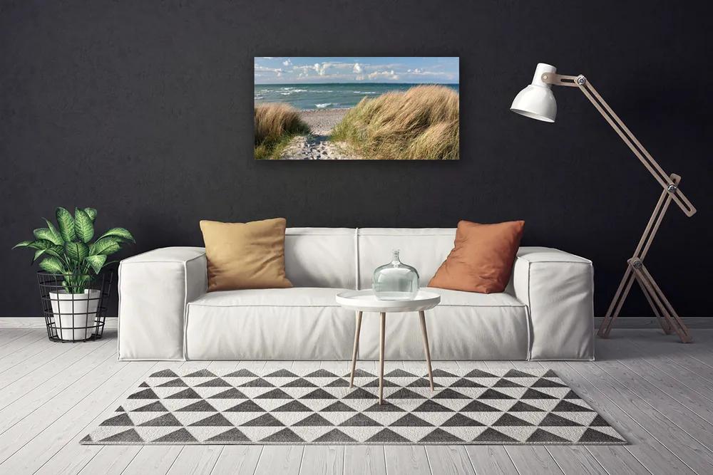 Stampa quadro su tela Paesaggio dell'erba del mare della spiaggia 100x50 cm