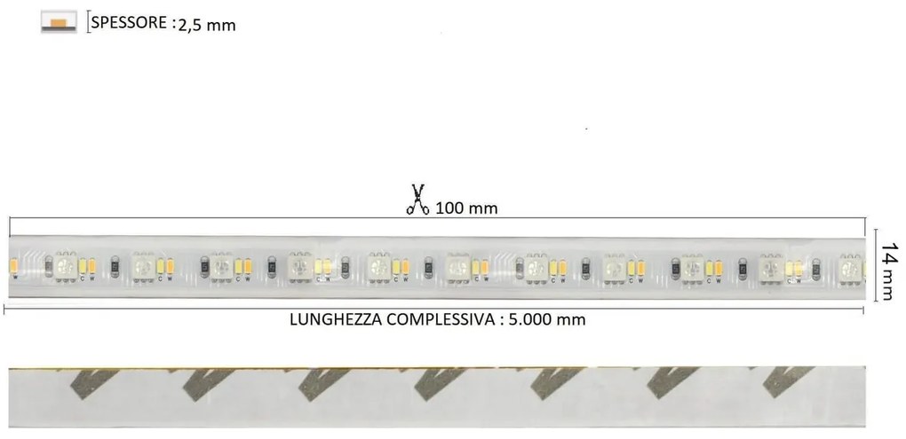 Striscia LED Professional - RGB + CCT (bianco Variabile)  - IP67 - 20W/m - 5m - 24V Colore RGB+CCT
