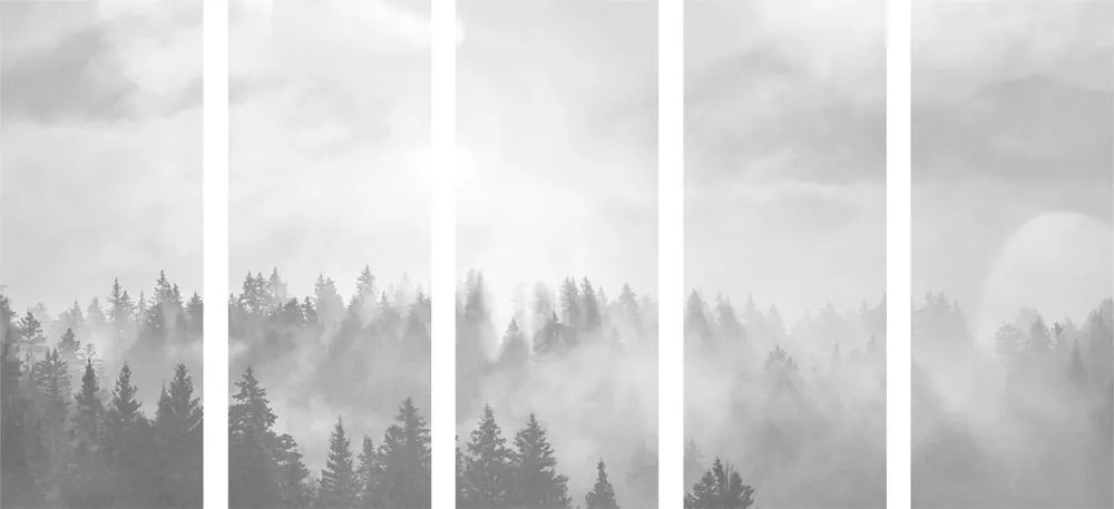 Quadri 5 pezzi – Nebbia sulla foresta in bianco e nero