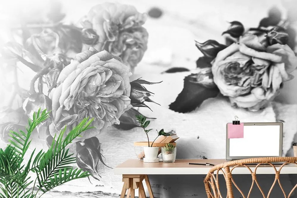 Carta da parati autoadesiva – Rose in fiore in bianco e nero