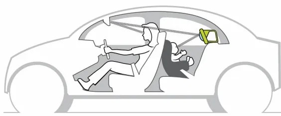 Taf Toys - Centro giochi Koala in auto