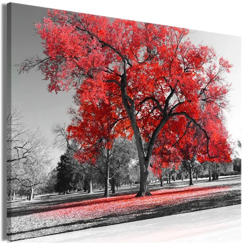 Quadro Autumn in the Park (1 Part) Wide Red  Colore Rosso, Dimensioni e Misure 120x80