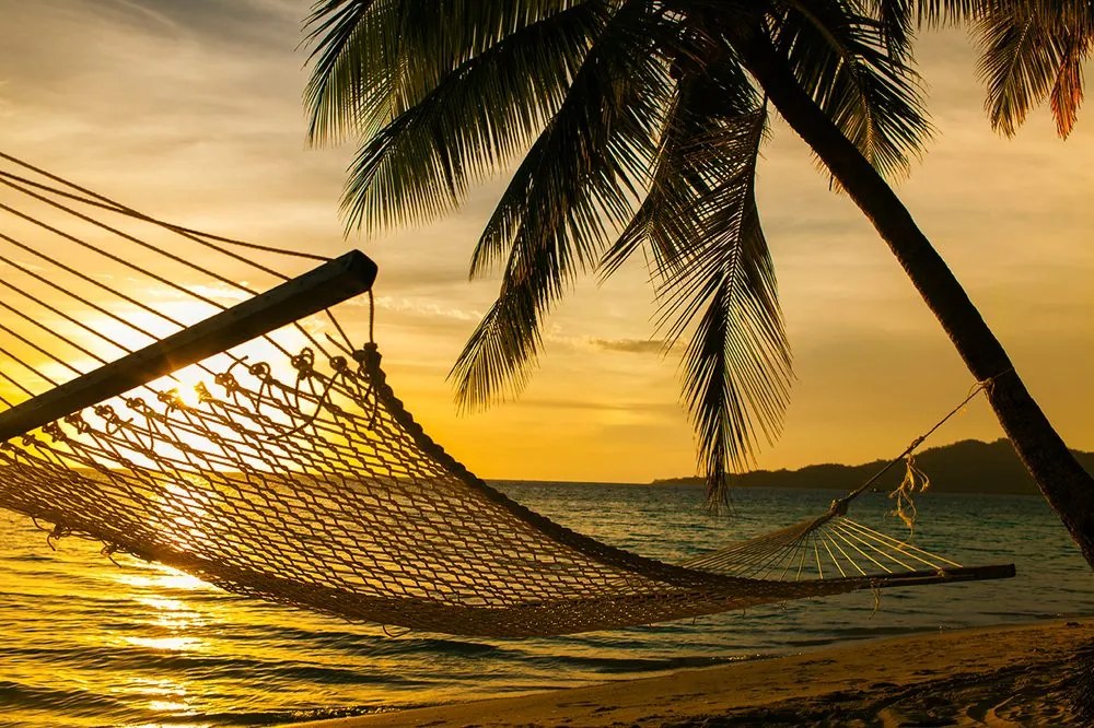 Carta da parati – Amaca sulla spiaggia